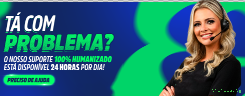 Instalação PC princesapg